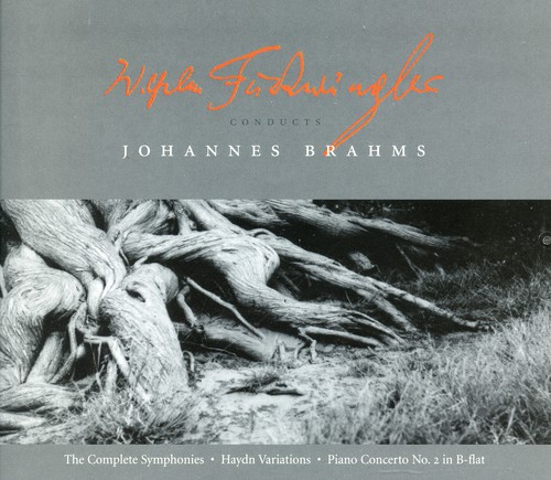 Symphonies 1-4 /  Haydn Variations