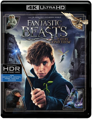 Fantastic Beasts and Where to Find Them