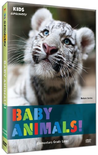Baby Animals