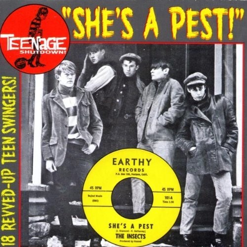 Teenage Shutdown 15: She's A Pest (Various Artists)