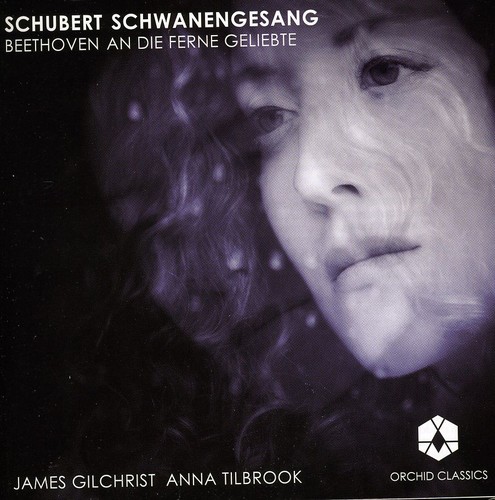 Schwanengesang /  An Die Ferne Geliebte