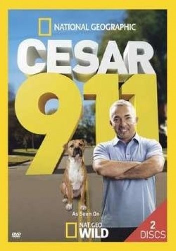 60 Todas Las Voces [Import]