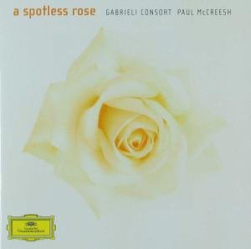 Spotless Rose