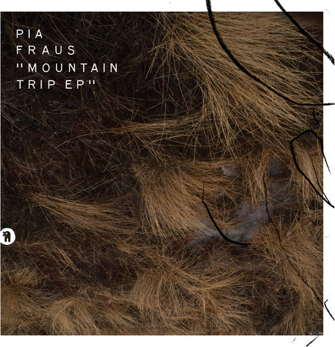 Mountain Trip