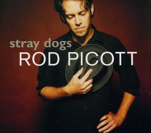 Stray Dogs