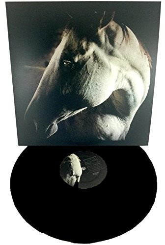 Brother Dege - How to Kill a Horse