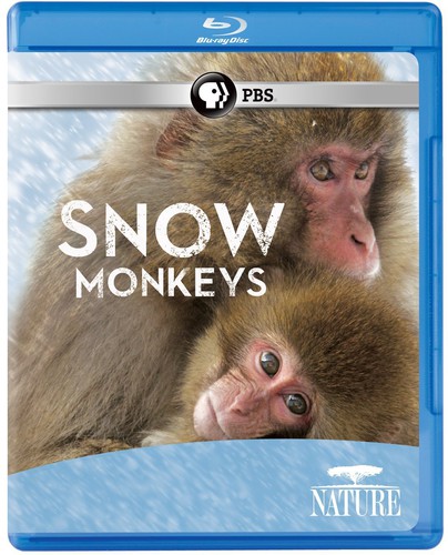 Nature: Snow Monkeys
