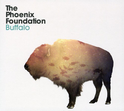Buffalo