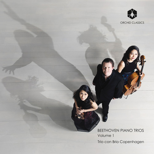 Beethoven 1