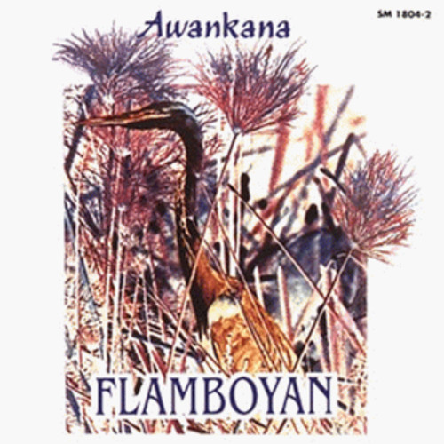 Flamboyan-River of the Stars