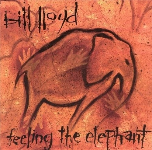 Feeling the Elephant