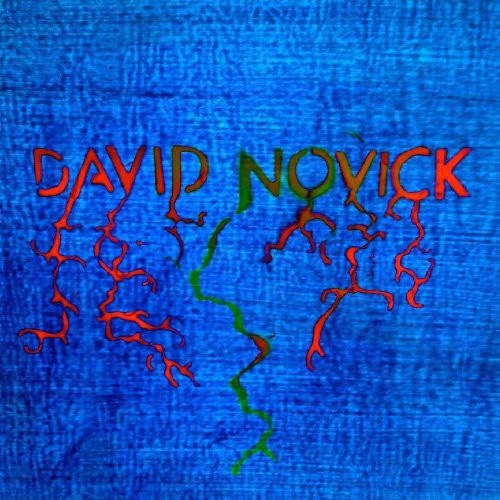 David Novick