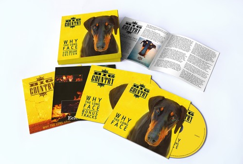 Why The Long Face [Import]