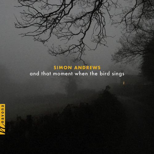 & THAT MOMENT WHEN THE BIRD SINGS