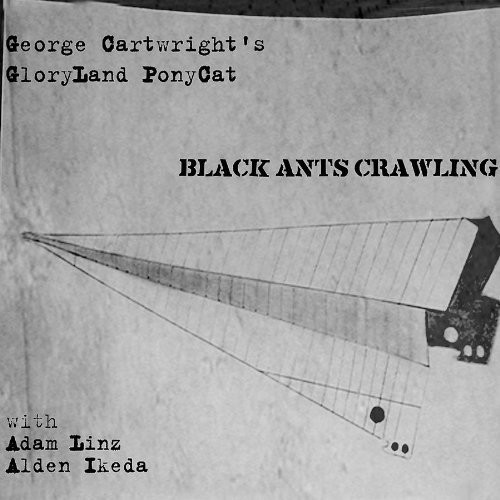 Black Ants Crawling