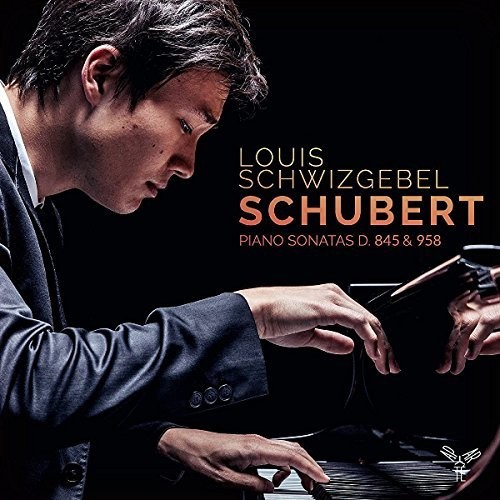 Schubert: Piano Sonatas D845 And D958