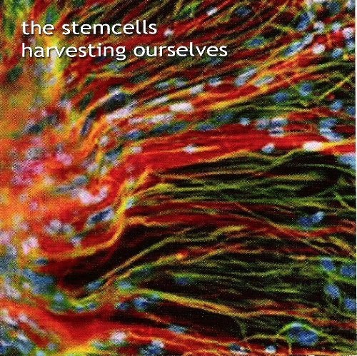 Harvesting Ourselves