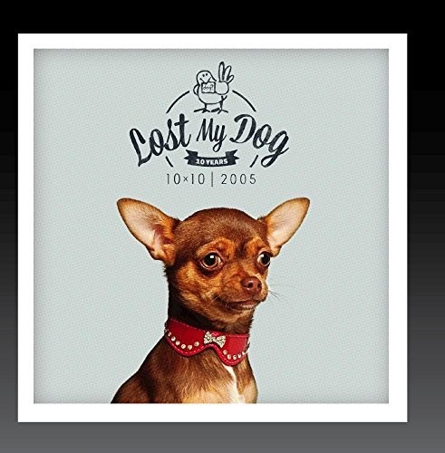 Lost My Dog 10 x 10 - 2005