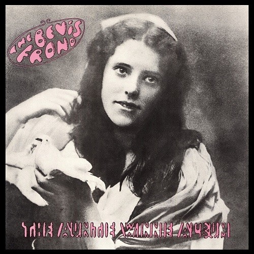 Bevis Frond - Auntie Winnie Album vinyl record cover