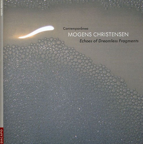Echoes of Dreamless Fragments