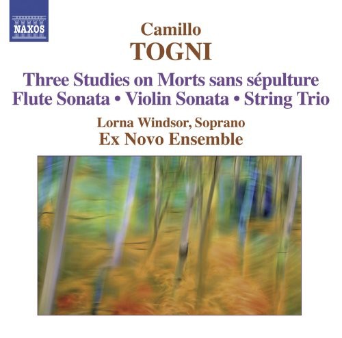 Three Studies on Mort Sans Sepulture / Flute