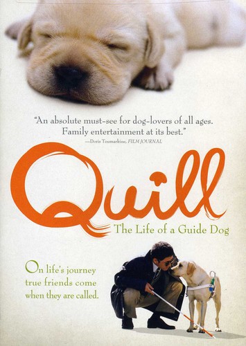 Quill: The Life of a Guide Dog