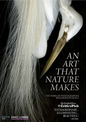 Art That Nature Makes
