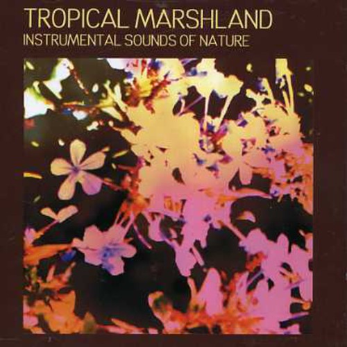 Tropical Marshland