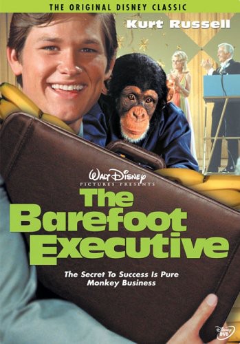 Barefoot Executive - The Barefoot Executive