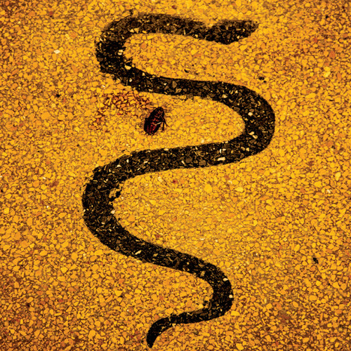 Album Art