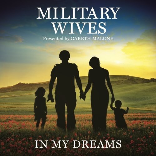In My Dreams [Import]