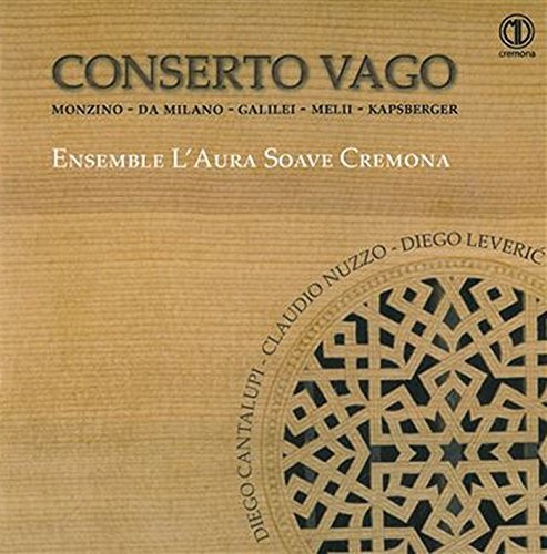 Conserto Vago