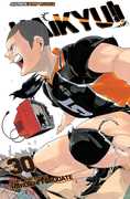 Haikyu!!, Vol. 30 , Haruichi Furudate