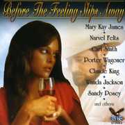 Country's Best: Before the Feeling Slips Away / Various , Various Artists