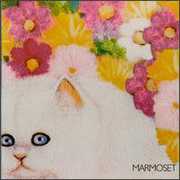 Today It's You , Marmoset