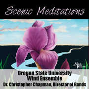 Scenic Meditations