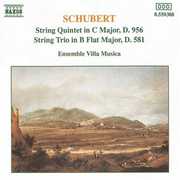String Quintet / String Trio , Ensemble Villa Musica
