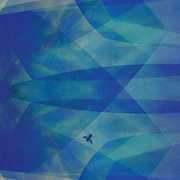 Bluefly , Cyro Baptista