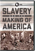 Slavery And The Making Of America 