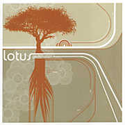 Germination , Lotus
