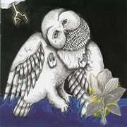 Magnolia Electric Co. , Songs: Ohia