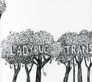 Here Comes the Rain , The Ladybug Transistor