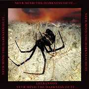 Never/ Mind/ The/ Darkness/ Of/ It , Lee Bannon