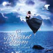 Secret Dream , David Wahler