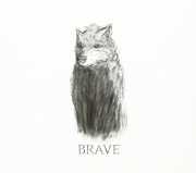 Brave [Import] , Brave