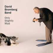 Only Slightly Mad , David Bromberg
