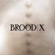 Brood X , Boss Hog