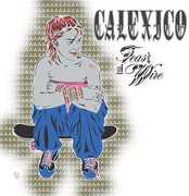 Feast of Wire , Calexico