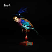 Fabric 78 , Raresh