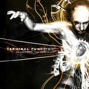 Measuring the Abstract , Terminal Function